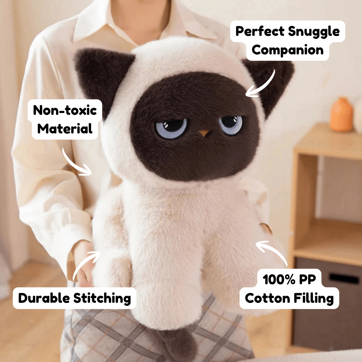 Momo the Sitting Kawaii Siamese Cat