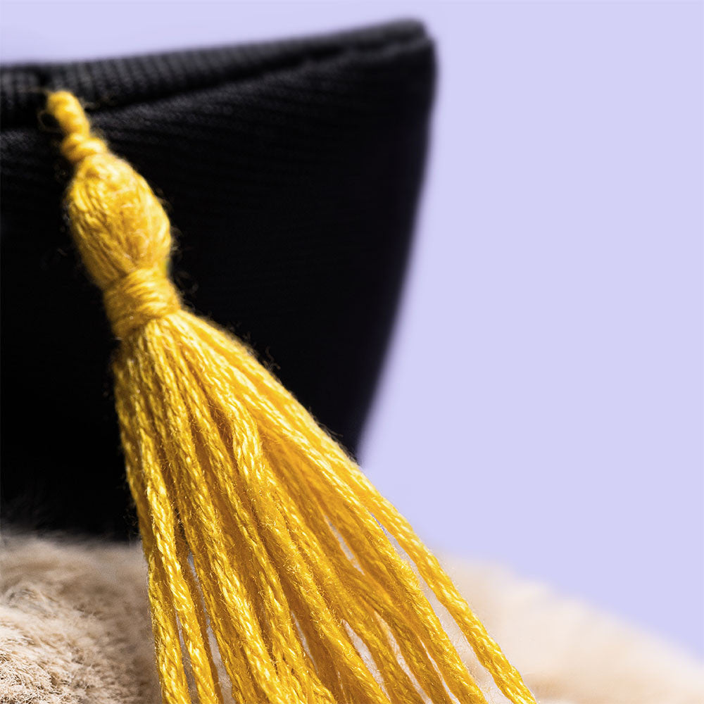 Conjunto de graduación para conejito Bashful, talla única, JELLYCAT