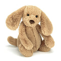 Chiot Bashful Toffee Jellycat Original (Moyen) 31 cm