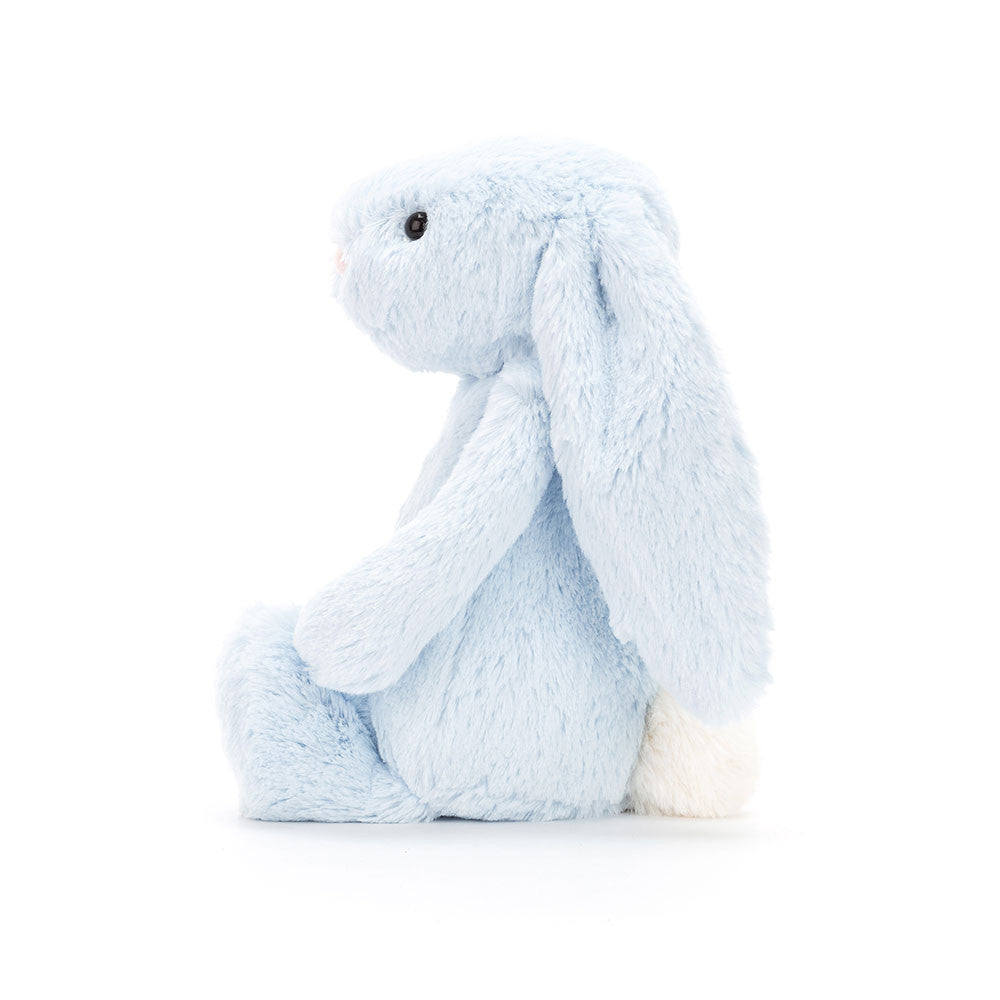 Lapin Bleu Timide (Moyen)