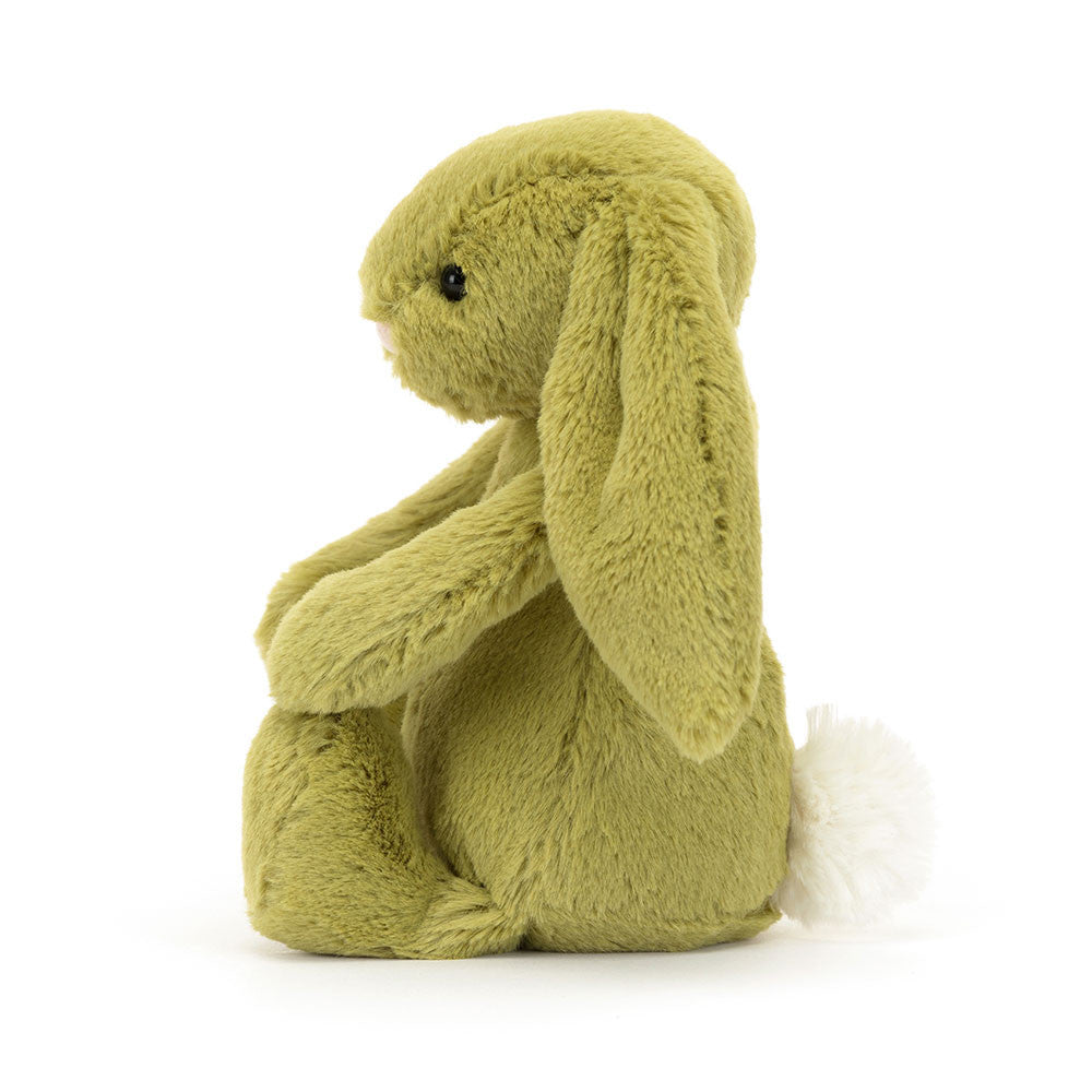 Petit lapin des mousses timide