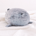 Lazy Chubby Seal